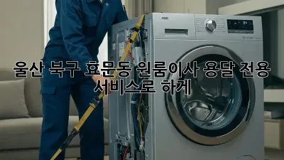 울산 북구 효문동 원룸이사? 용달 전용 서비스로 轻松하게!